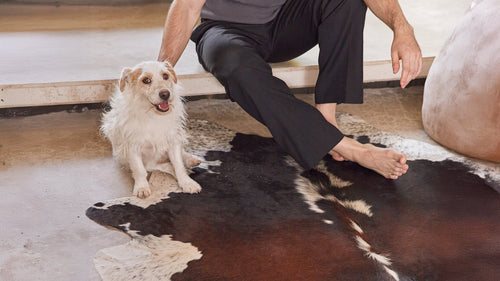 Man sitting barefoot with a dog on a Chocolate and White Cowhide Rug, with house slippers nearby.
