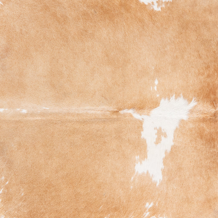 Brazilian Palomino and White Cowhide Rug Size 7'7" L x 6'3" W 6107