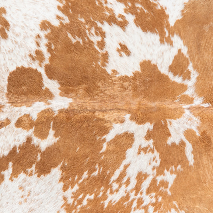 Brazilian Palomino and White Cowhide Rug Size 7'1" L x 6'9" W 6109