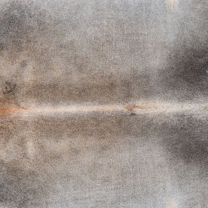 Brazilian Grey Palomino Cowhide Rug Size 8'1" L x 7'7" W 1102