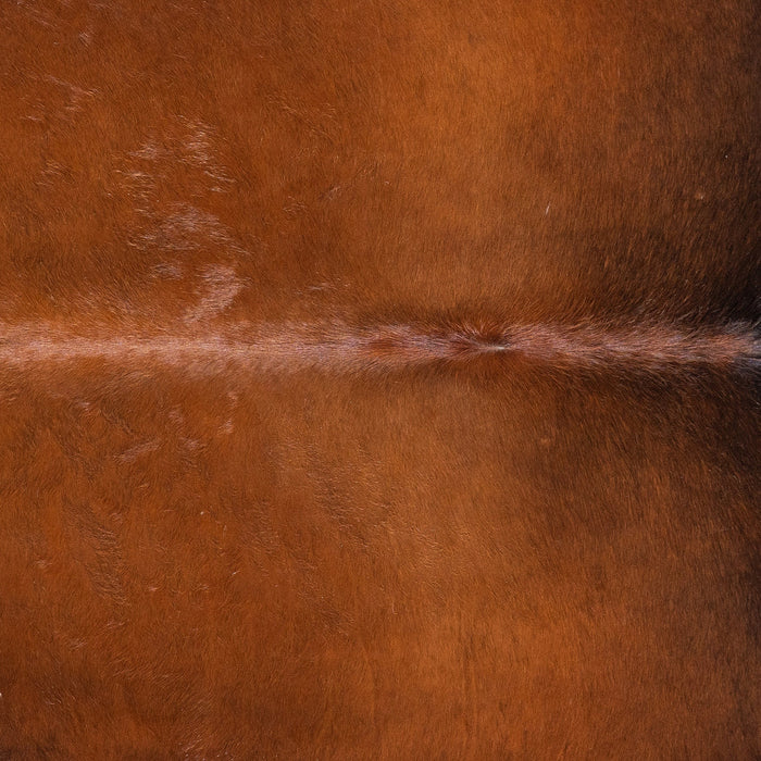 Brazilian Mahogany Cowhide Rug Size 8'4" L x 6'9" W 1197