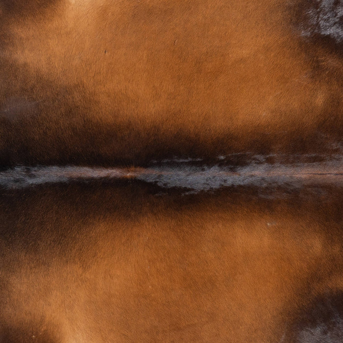 Brazilian Mahogany Cowhide Rug Size 7'11" L x 7'4" W 1203