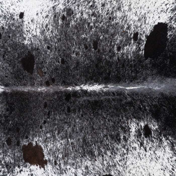 Brazilian Black Salt and Pepper Cowhide Rug Size 8'9" L x 7'3" W 1269