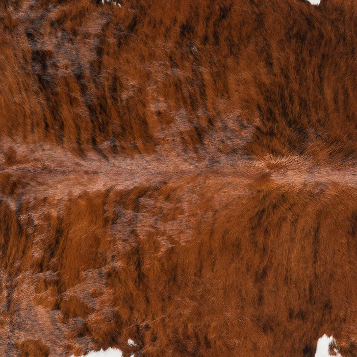 Brindle White Belly and Backbone Cowhide Rug Size 7'8" L x 6'11" W 1363