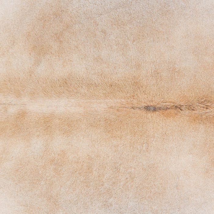 Brazilian Grey Palomino Cowhide Rug Size 7'2" L x 6'4" W 1383