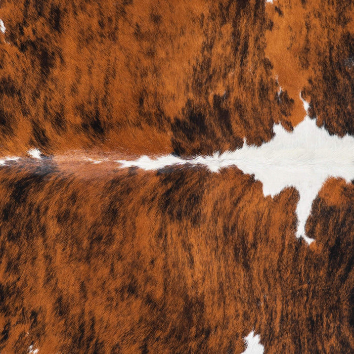 Brazilian Brindle White Belly and Backbone Cowhide Rug Size 6'10" L x 5'8" W 1490