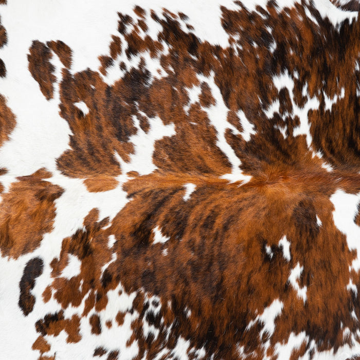 Tricolor Cowhide Rug Size 7'1" L x 6'2" W 1777