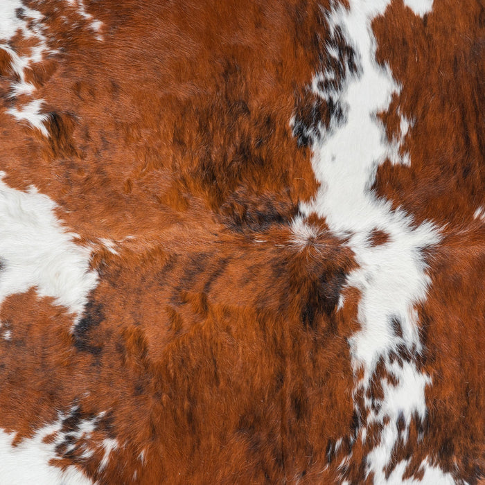 Tricolor Cowhide Rug Size 6'10" L x 6'2" W 1853