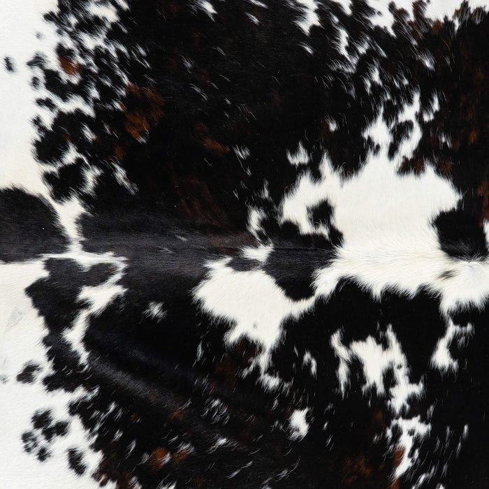 Dark Tricolor Cowhide Rug Size 7'11" L x 7'3" W 1912