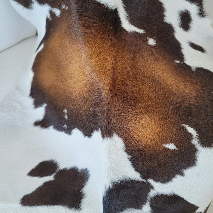 Mahogany And White Calf Hides , Natural Suede Leather | eCowhides | eCowhides