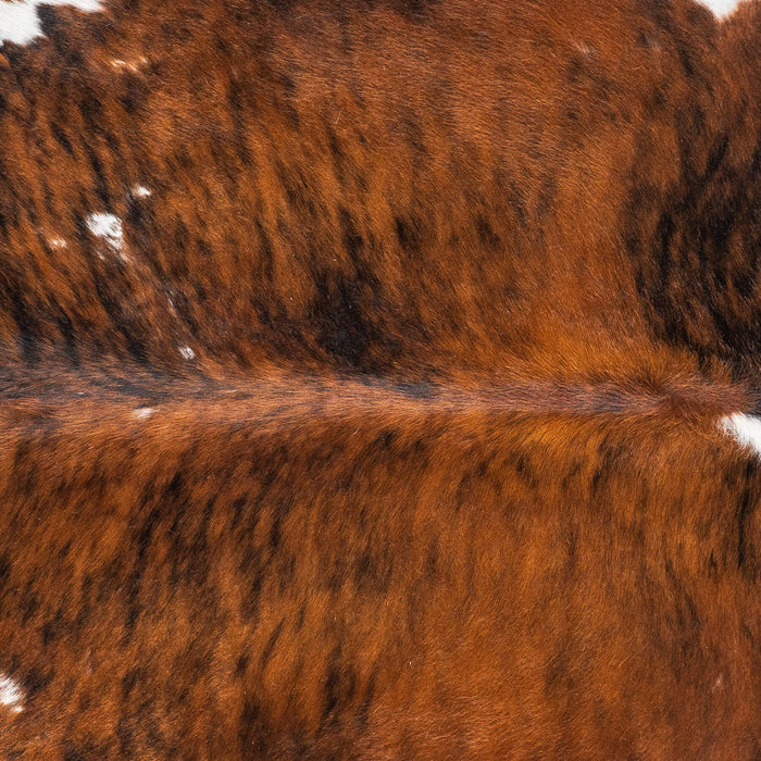 Vintage Brindle White Belly Cowhide Rug Size 6'2" L x 5'9" W 2022