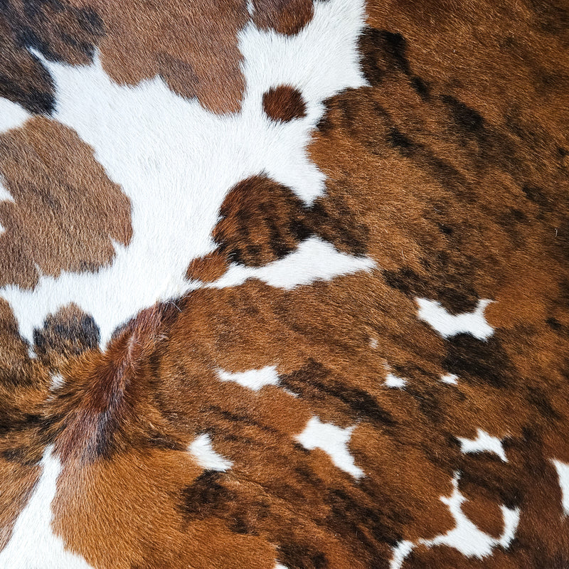 Tricolor Cowhide Rug Size X Large 3734 , Stain Resistant Fur | eCowhides