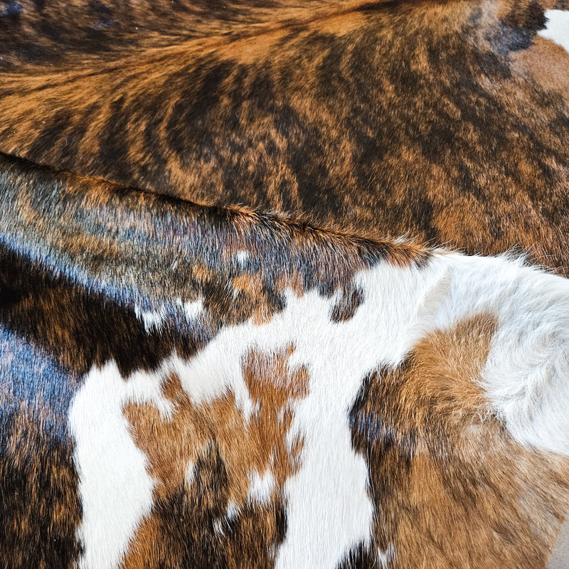 Tricolor Cowhide Rug Size X Large 3753 , Stain Resistant Fur | eCowhides