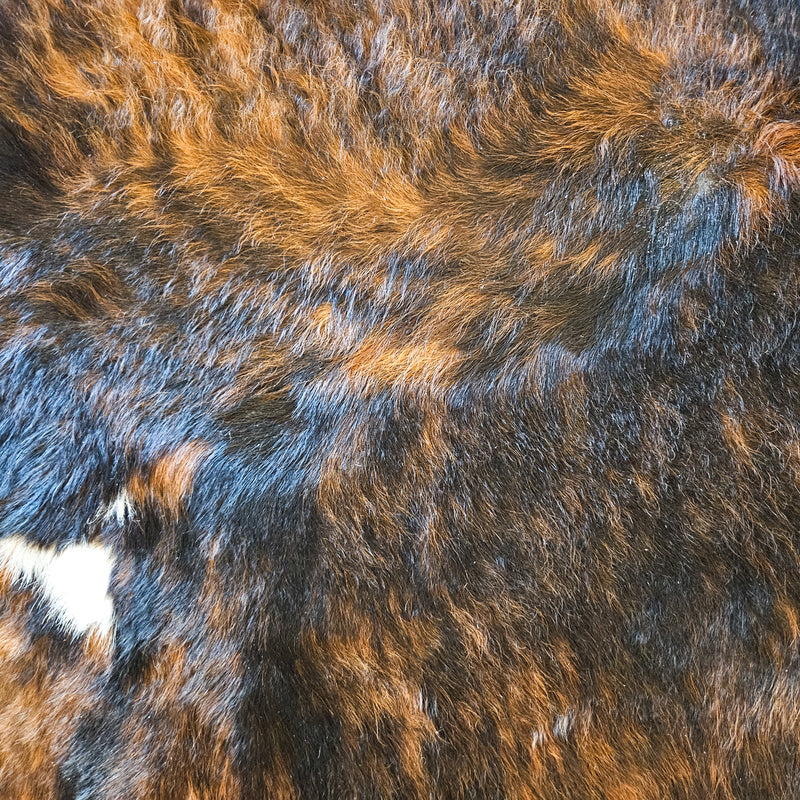 Dark Tricolor Cowhide Rug Size Large 3781 , Stain Resistant Fur | eCowhides