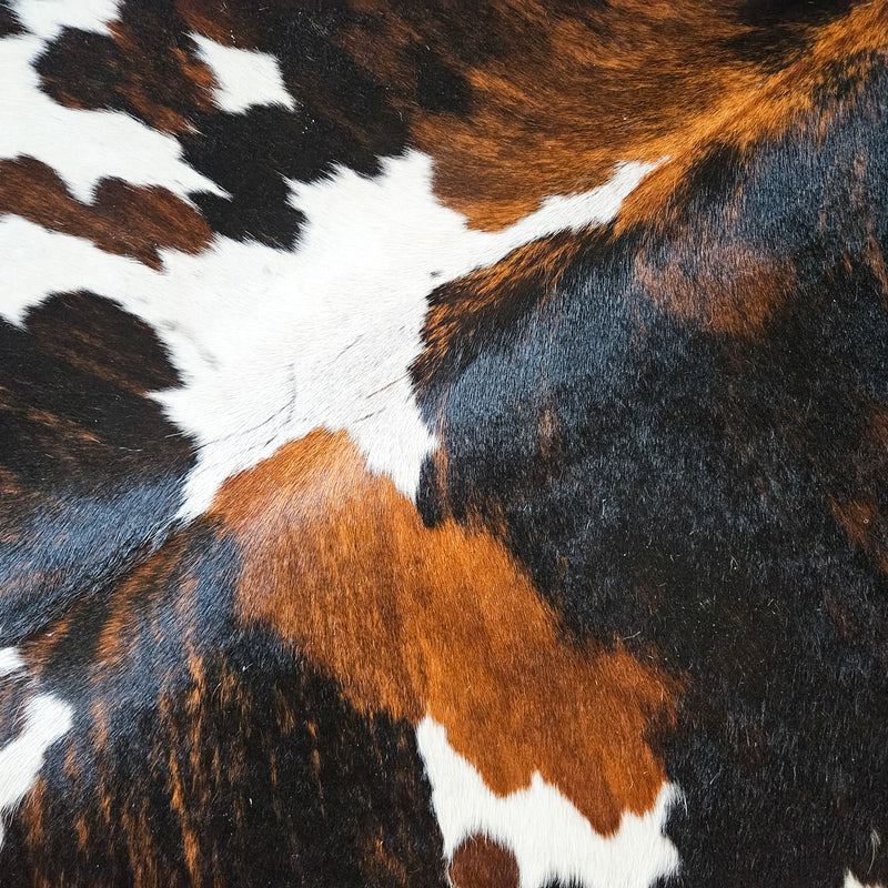 Dark Tricolor Cowhide Rug Size Large 3805 , Stain Resistant Fur | eCowhides