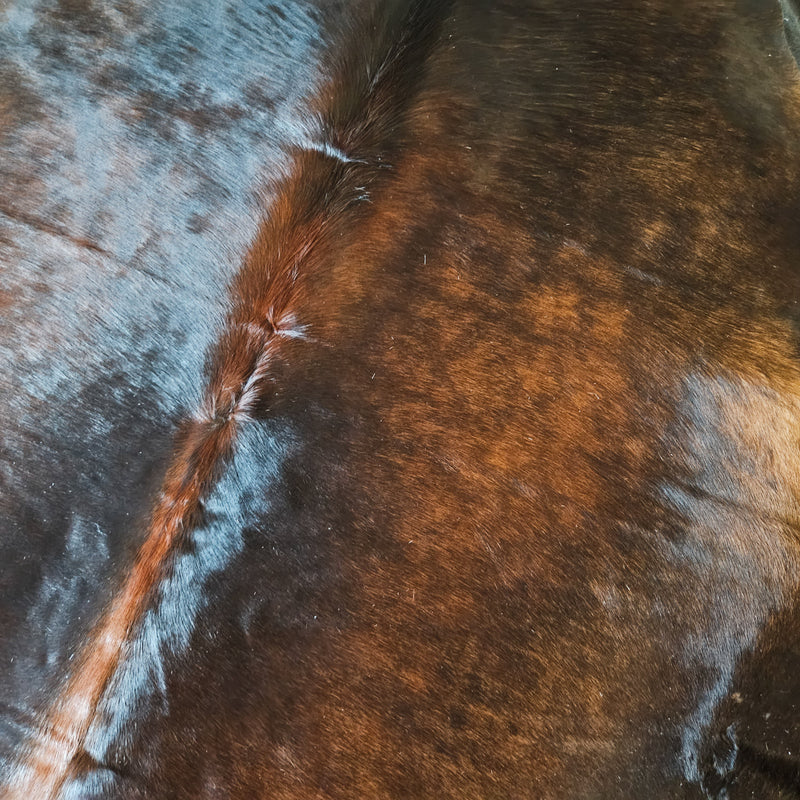Brazilian Chocolate Cowhide Rug Size X Large 3994 , Stain Resistant Fur | eCowhides