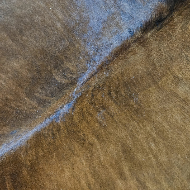 Brazilian Brindle Cowhide Rug Size X Large 4246 , Stain Resistant Fur | eCowhides