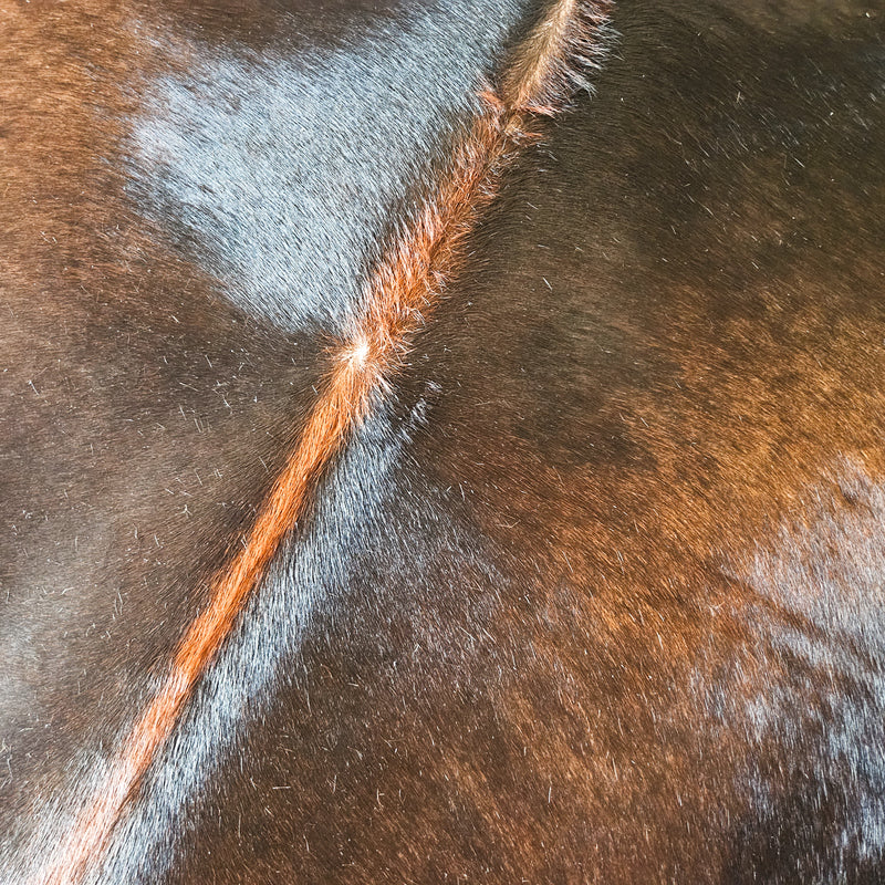 Brazilian Chocolate Cowhide Rug Size Large 4343 , Stain Resistant Fur | eCowhides