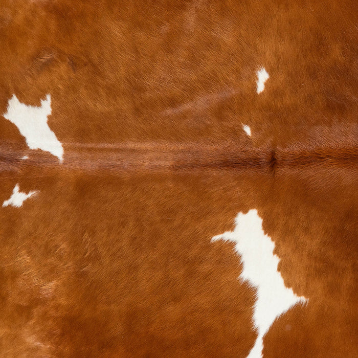 Brazilian Brown and White Cowhide Rug Size 7'7" L x 6'6" W 2335
