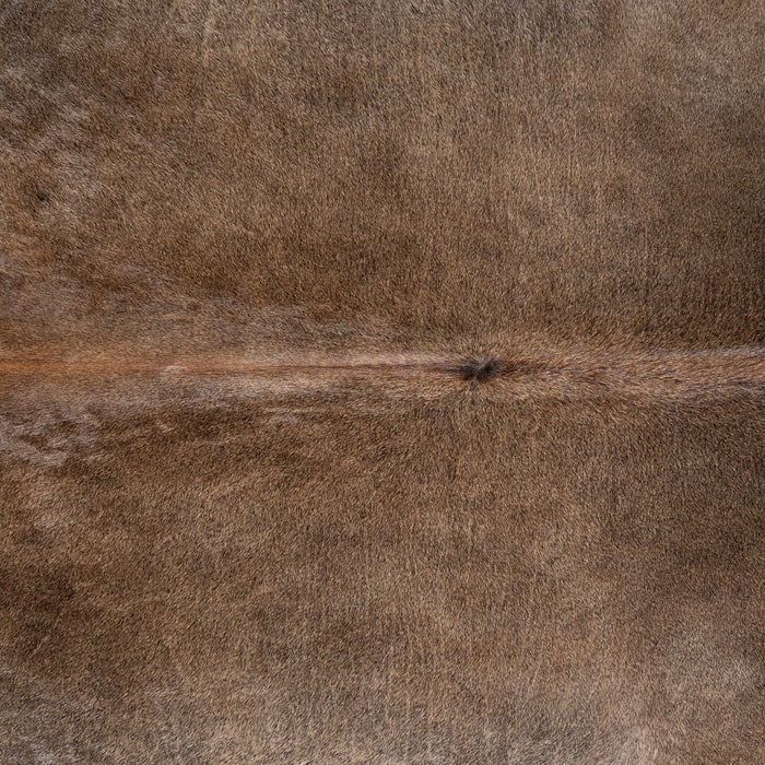 Brazilian Grey Palomino Cowhide Rug Size 7'11" L x 7'0" W 6124