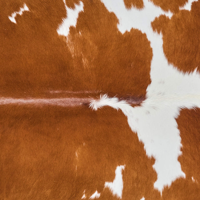 Brazilian Brown and White Cowhide Rug Size 5'11" L x 4'11" W 2650