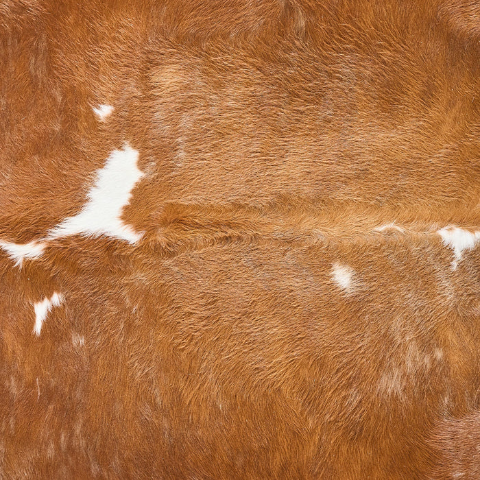 Brown and White Cowhide Rug Size 7'5" L x 6'9" W 2825