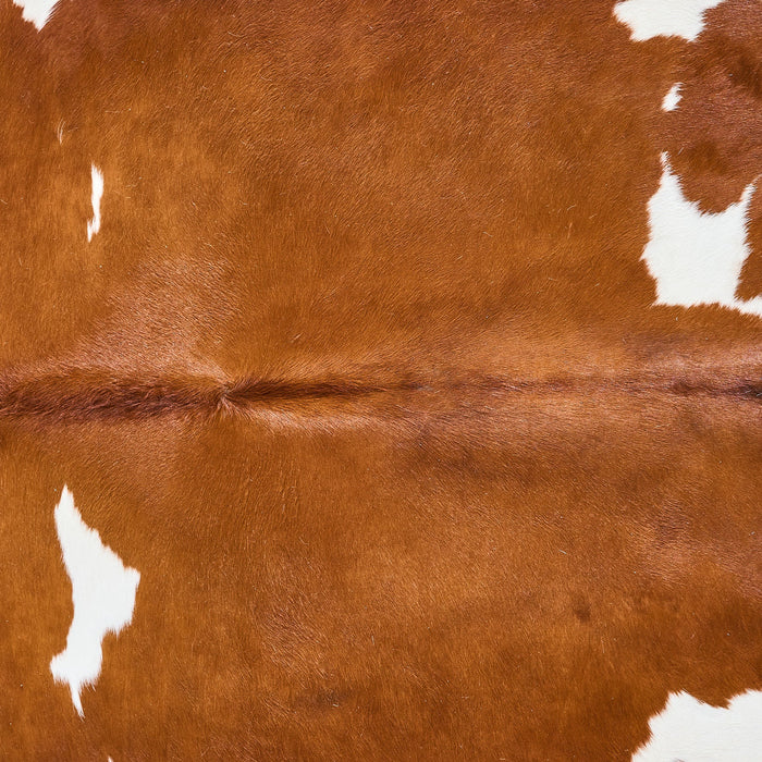 Brown and White Cowhide Rug Size 6'10" L x 6'2" W 2835