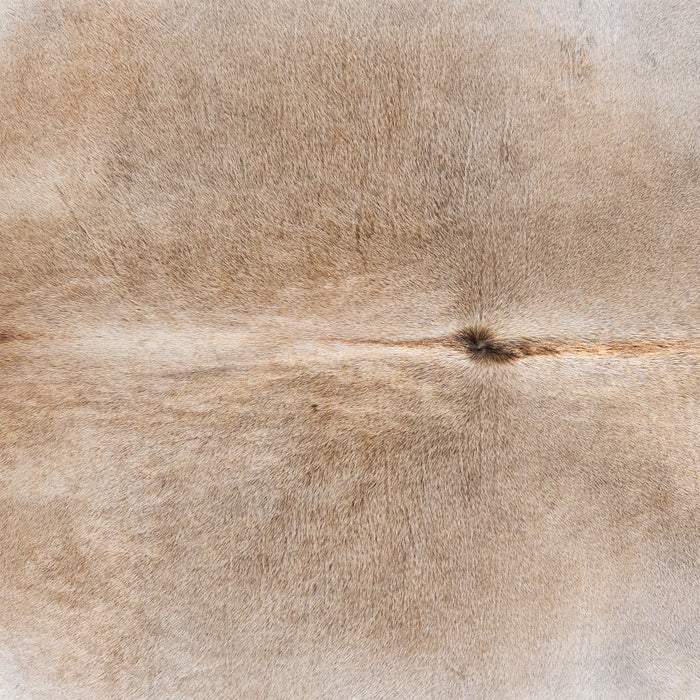 Brazilian Grey Palomino Cowhide Rug Size 8'3" L x 7'6" W 6129