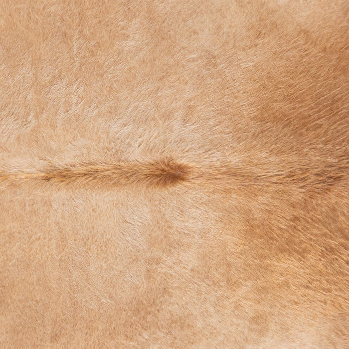 Brazilian Beige Cowhide Rug Size 8'5" L x 6'11" W 3131