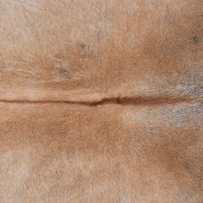 Brazilian Grey Palomino Cowhide Rug Size 7'10" L x 7'4" W 3137