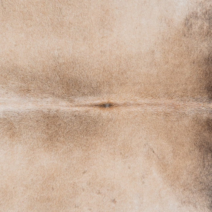 Brazilian Grey Palomino Cowhide Rug Size 7'9" L x 6'6" W 3142