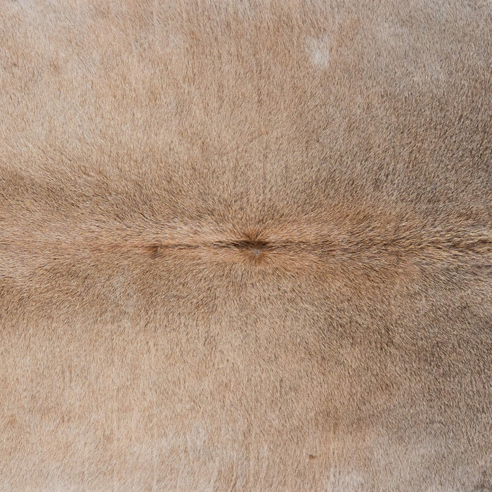 Brazilian Grey Palomino Cowhide Rug Size 8'0" L x 7'3" W 3145