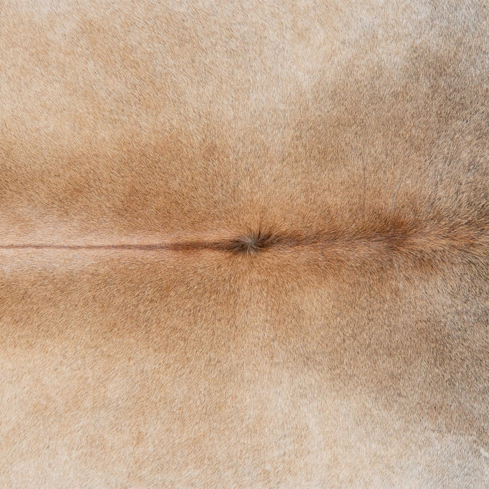 Brazilian Grey Palomino Cowhide Rug Size 7'10" L x 6'10" W 3158