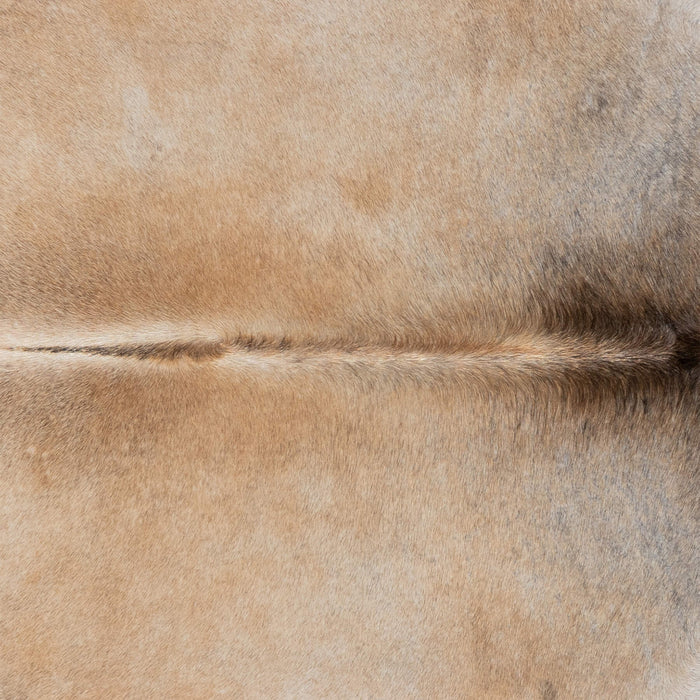 Brazilian Grey Palomino Cowhide Rug Size 7'6" L x 6'3" W 3163