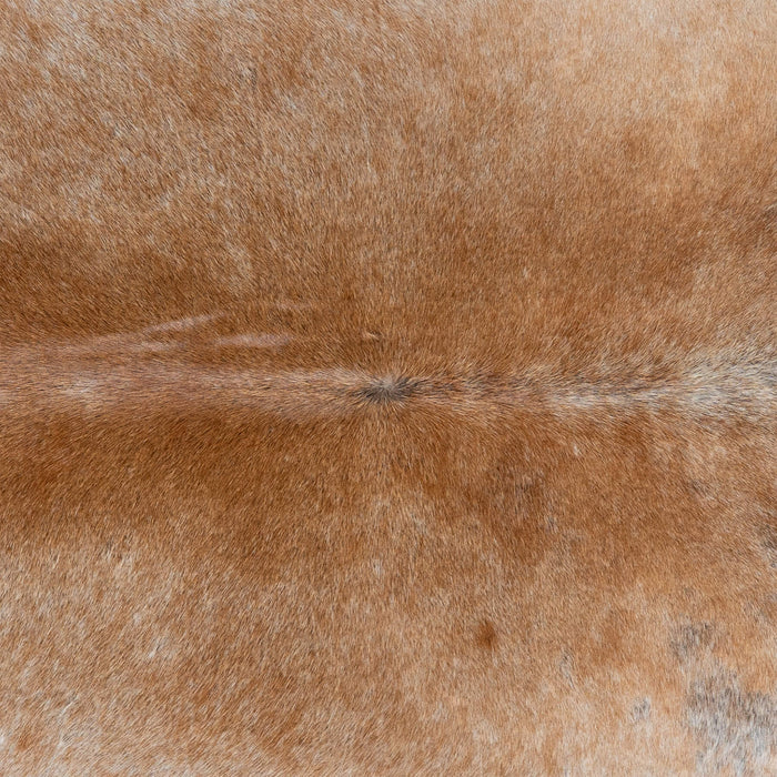 Brazilian Grey Palomino Cowhide Rug Size 7'6" L x 6'7" W 3178