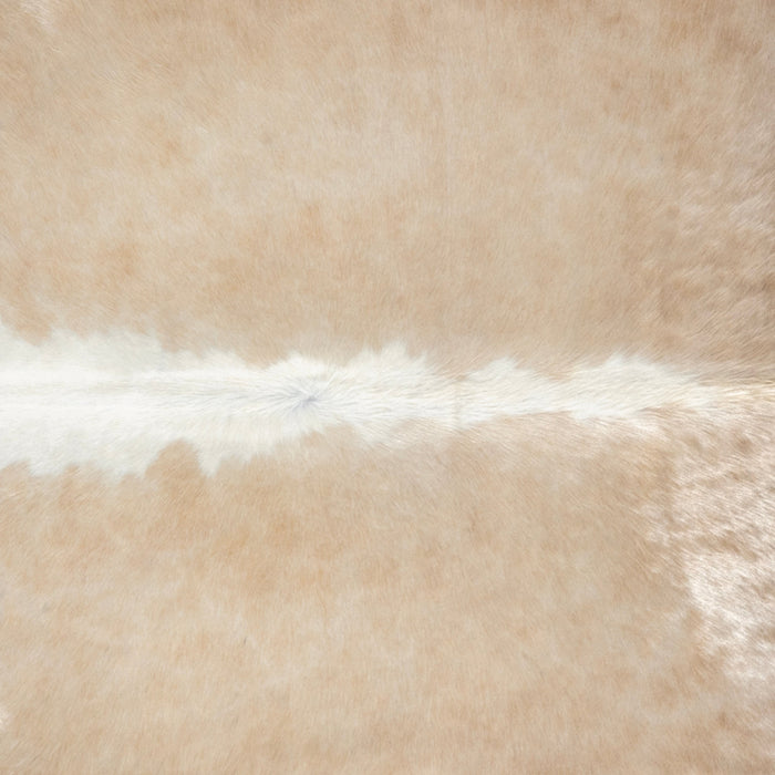 Brazilian Palomino and White Cowhide Rug Size 7'6" L x 6'9" W 3231