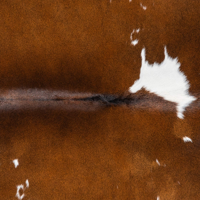 Brazilian Chocolate and White Cowhide Rug Size 6'6" L x 5'8" W 3455