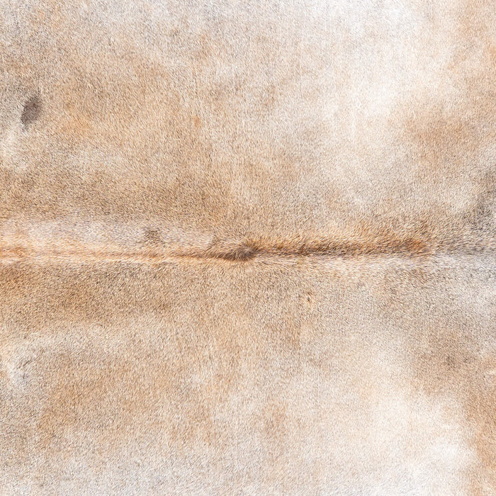 Brazilian Grey Palomino Cowhide Rug Size 6'9" L x 6'7" W 3506