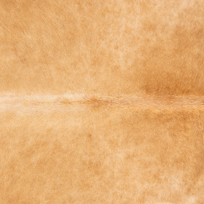 Brazilian Beige Cowhide Rug Size 6'11" L x 5'10" W 3540