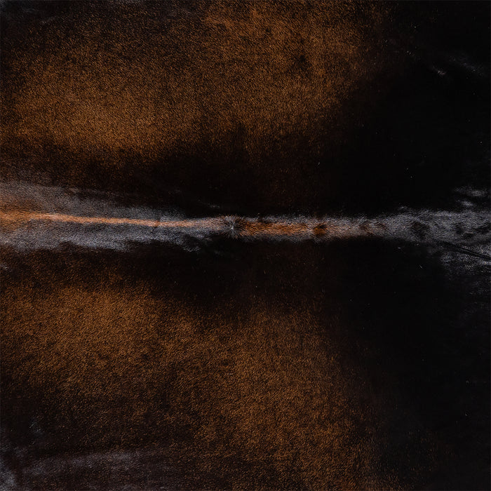 Brazilian Mahogany Cowhide Rug Size 7'8" L x 6'9" W 6136