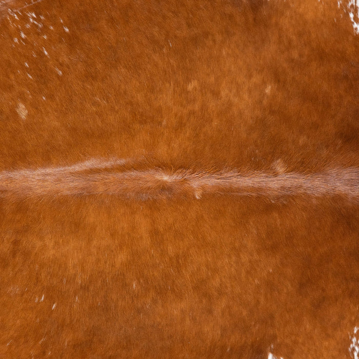 Brazilian Brown and White Cowhide Rug Size 7'11" L x 7'0" W 3620