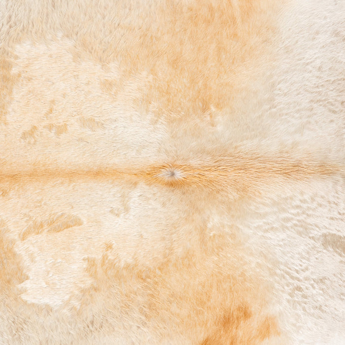 Brazilian Champagne Cowhide Rug Size 7'10" L x 7'7" W 3644