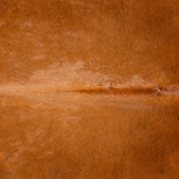Brazilian Brown Cowhide Rug Size 7'11" L x 6'6" W 3658