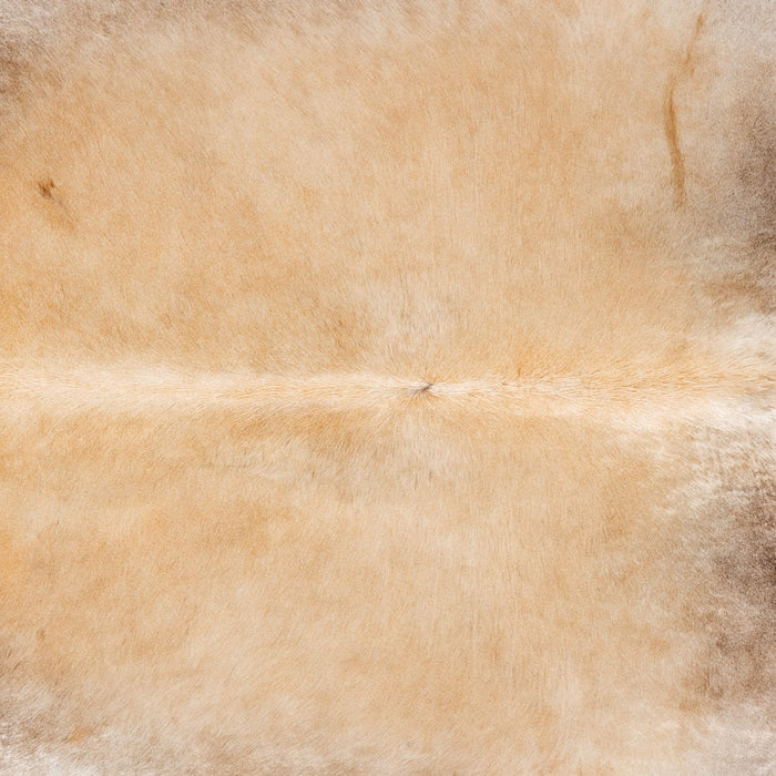 Brazilian Champagne Cowhide Rug Size 7'11" L x 6'10" W 3672