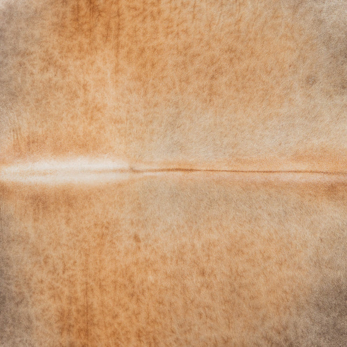 Brazilian Grey Palomino Cowhide Rug Size 8'6" L x 7'3" W 3717
