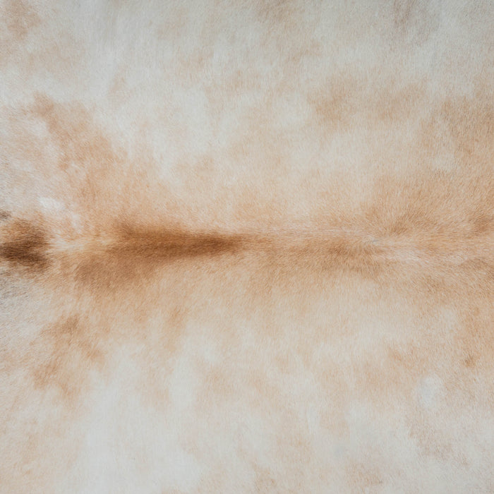 Brazilian Grey Palomino Cowhide Rug Size 7'9" L x 6'7" W 3723