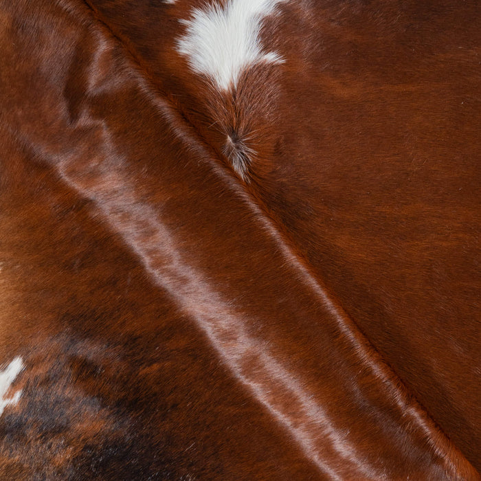 Brazilian Brindle White Belly and Backbone Cowhide Rug Size 8'7" L x 7'8" W 3735