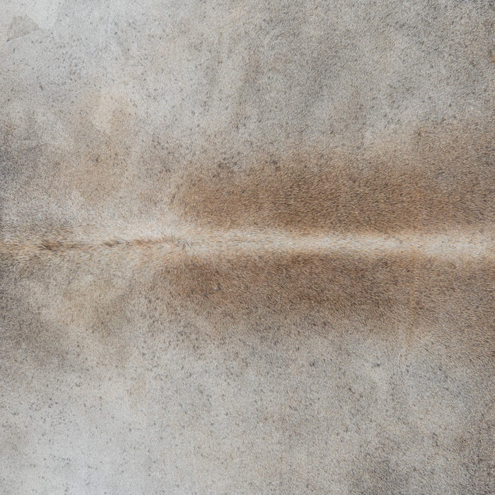 Brazilian Grey Palomino Cowhide Rug Size 7'11" L x 7'1" W 3746