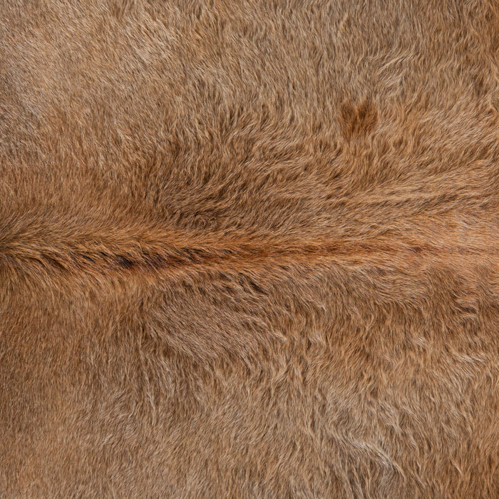 Brazilian Grey Palomino Cowhide Rug Size 8'5" L x 8'1" W 3766