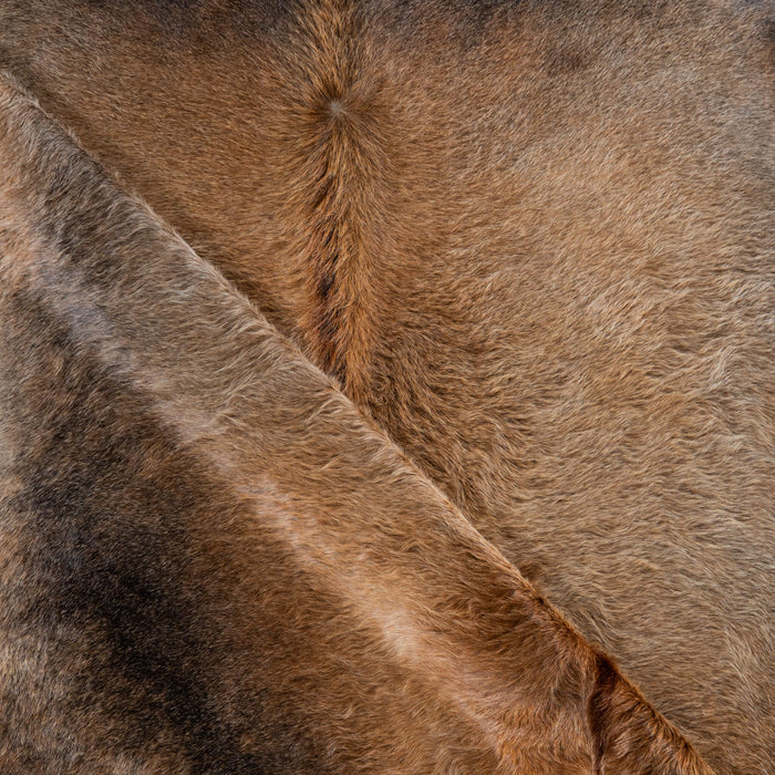 Brazilian Grey Palomino Cowhide Rug Size 8'5" L x 8'1" W 3766